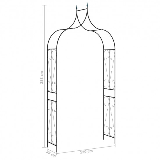Záhradný oblúk, tmavozelený 120x38x258 cm, železo