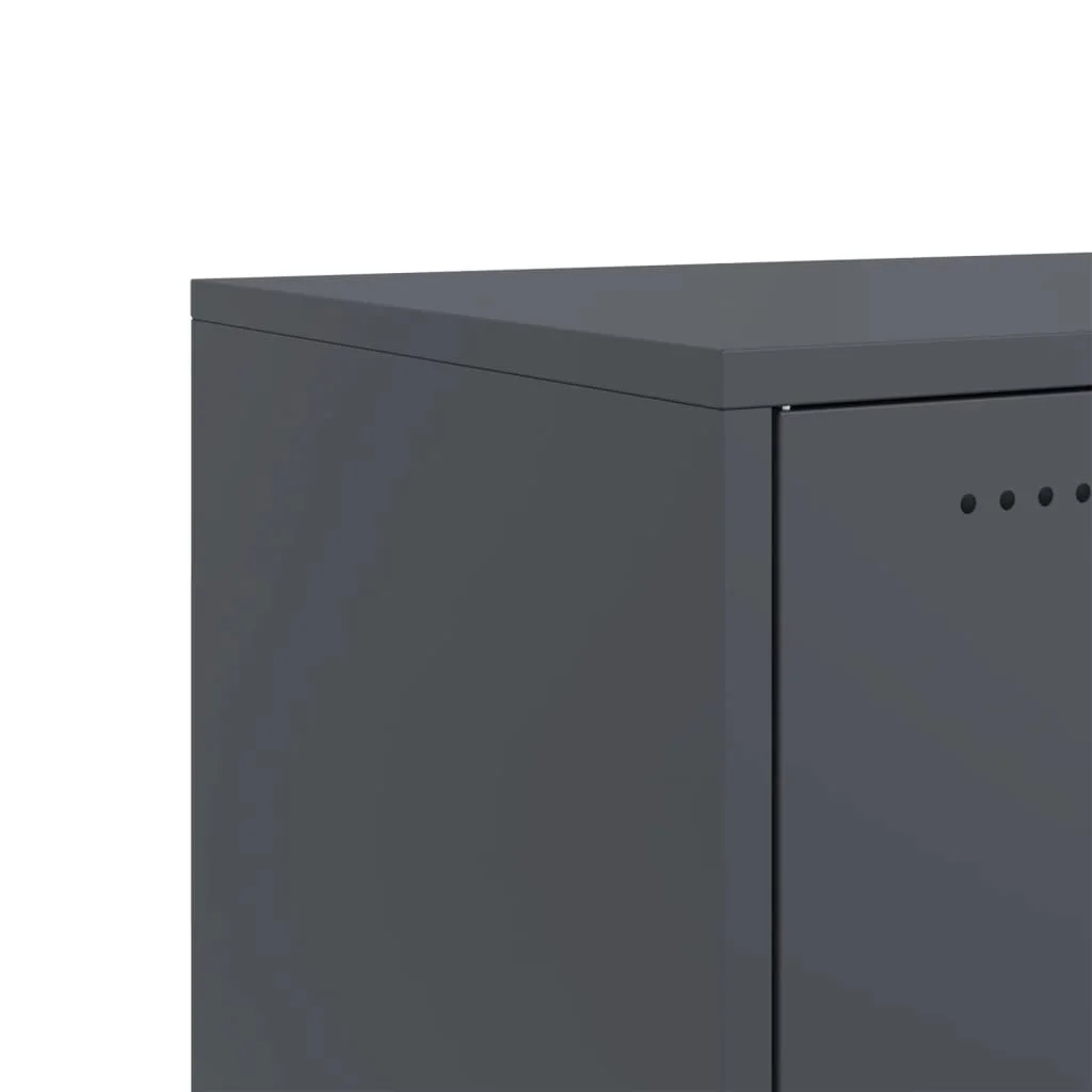 TV skrinka antracit 100,5x39x43,5 cm oceľ