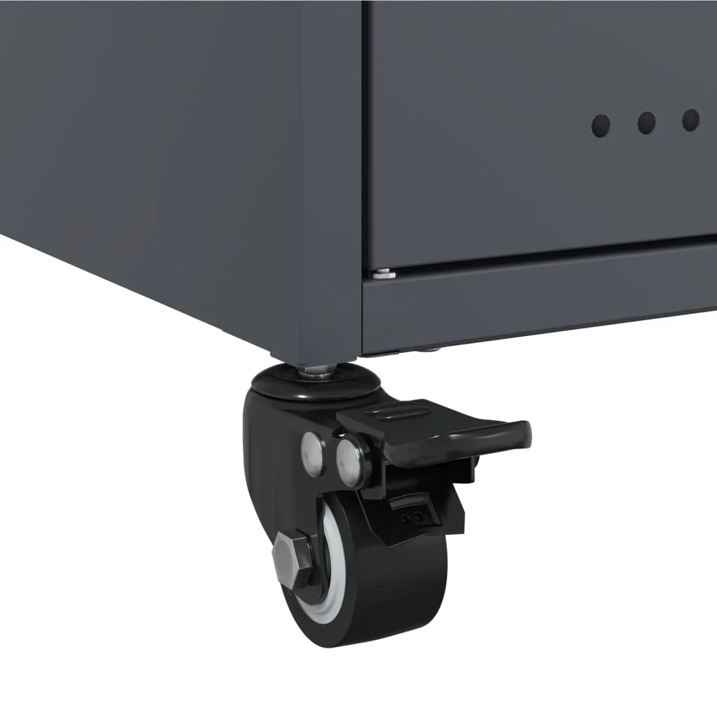 TV skrinka antracit 100,5x39x43,5 cm oceľ