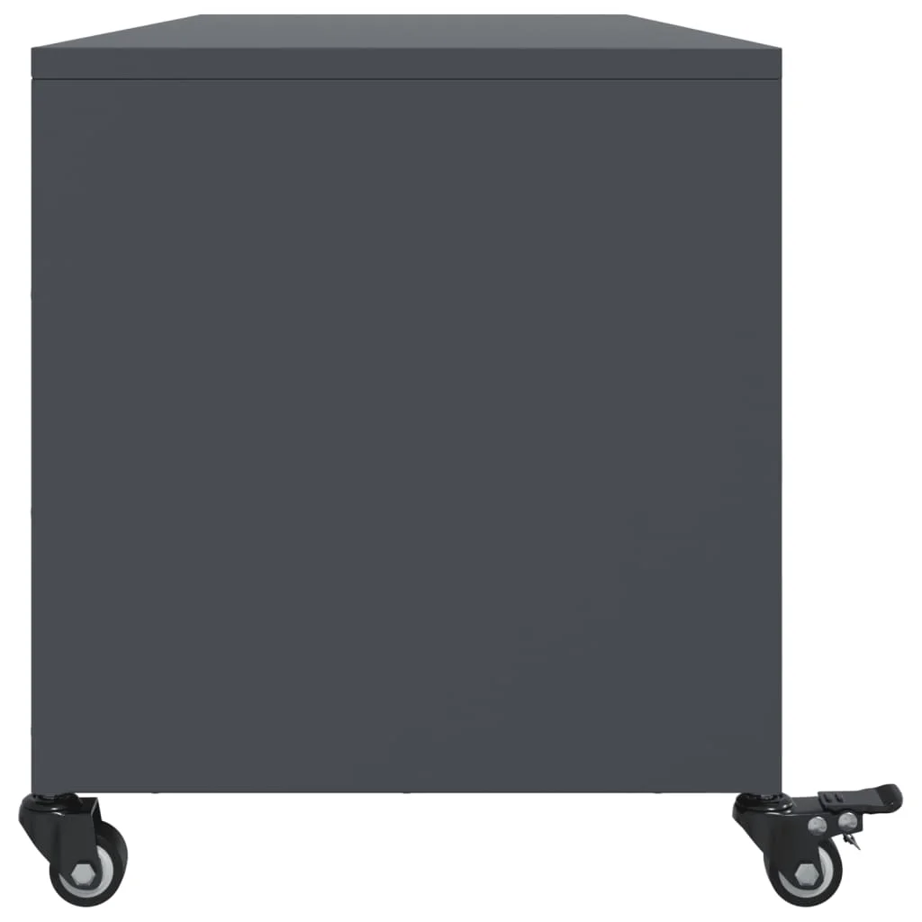 TV skrinka antracit 100,5x39x43,5 cm oceľ